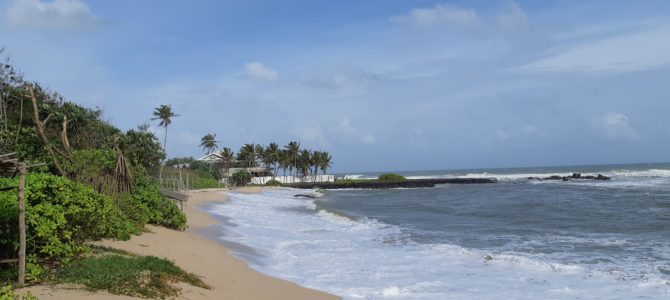 Sri Lanka revisited- Arugam Bay and Ella