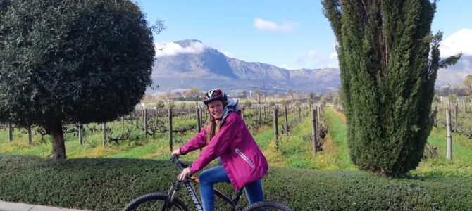 Wine Route- Stellenbosch, Franschhoek and Hermanus