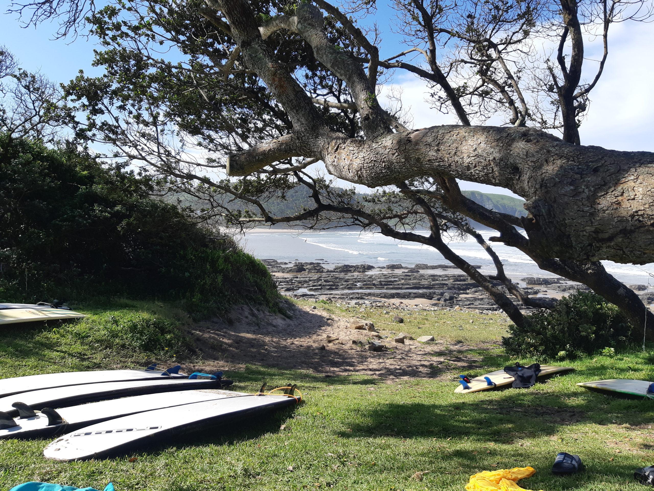 Re-learning to Surf in Coffee Bay